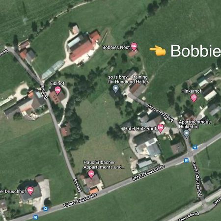 Bobbies Nest Βίλα Schladming Εξωτερικό φωτογραφία