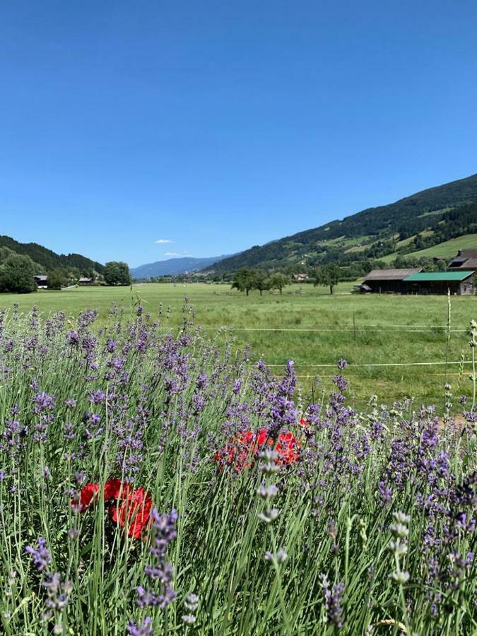 Bobbies Nest Βίλα Schladming Εξωτερικό φωτογραφία